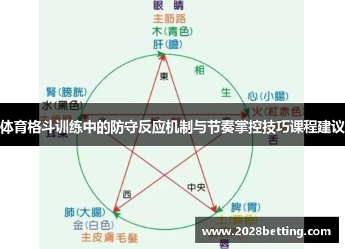 体育格斗训练中的防守反应机制与节奏掌控技巧课程建议